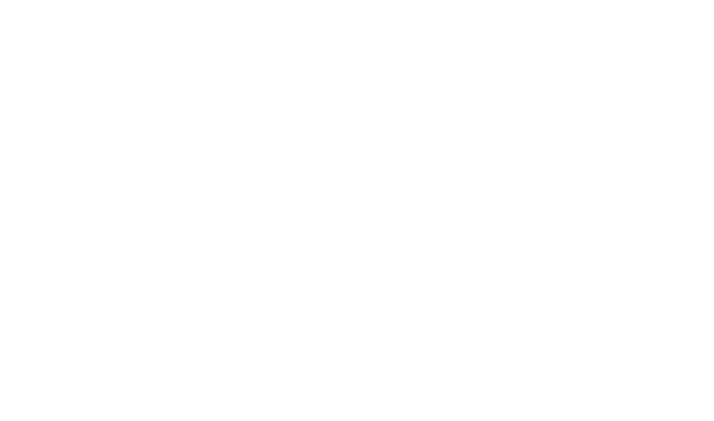 The Foam Co.